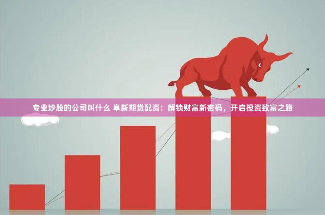 专业炒股的公司叫什么 阜新期货配资：解锁财富新密码，开启投资致富之路