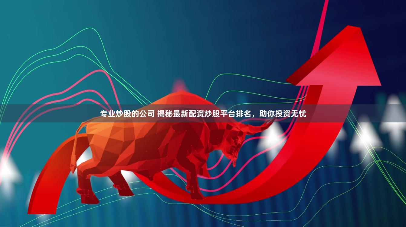 专业炒股的公司 揭秘最新配资炒股平台排名，助你投资无忧