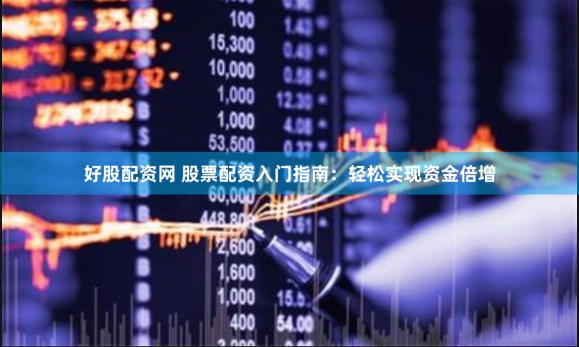 好股配资网 股票配资入门指南：轻松实现资金倍增