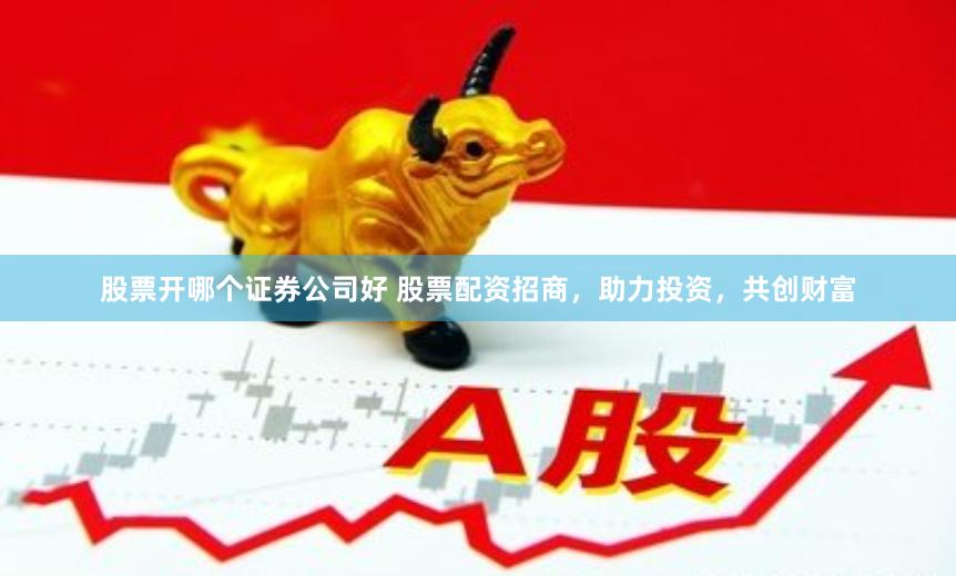 股票开哪个证券公司好 股票配资招商，助力投资，共创财富